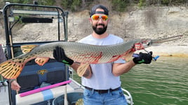 Texas Bowfishing Bonanza