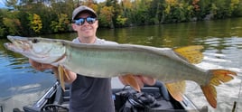 Wallhanger Musky Guide Trips