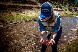 Vermejo Luxury Fly Fishing