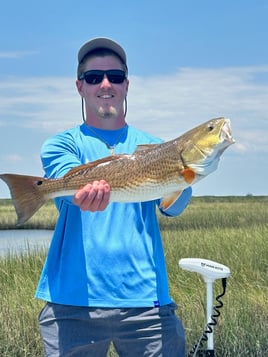 Lake Ponchartrain Lunkers