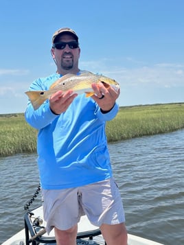 Lake Ponchartrain Lunkers