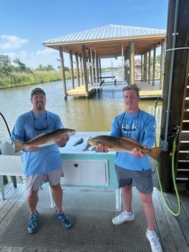 Lake Ponchartrain Lunkers