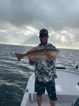 Full Day Inshore - 26' Majek