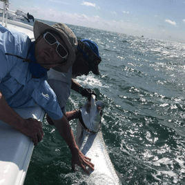 Boca Grande Pass Legendary Tarpon