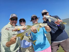 Snook Fishing in Islamorada, Florida