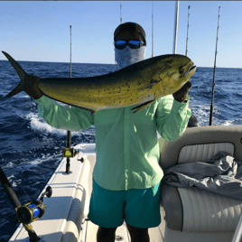 Mahi Mahi Fishing in North Charleston, South Carolina