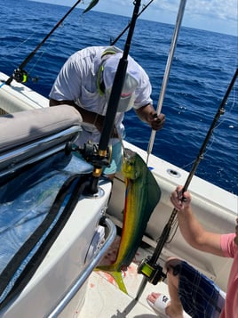 Offshore Trolling with Captain TJ