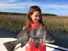 Black Drum Fishing in Jacksonville, Florida