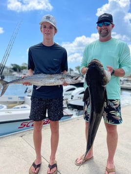 Cobia, Kingfish Fishing in St. Augustine, Florida