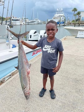 Kingfish Fishing in St. Augustine, Florida