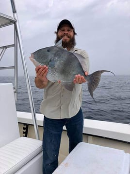 Full Day Offshore - 28' Dusky