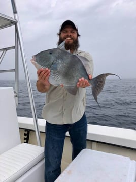 Half Day Offshore - 28' Dusky