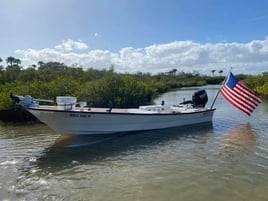 Panga Fishing with Captain Chris