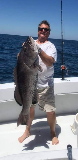 10-12 Hour Bottom/Trolling - 55' Gillman