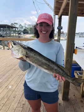 Speckled Trout Fishing in Orange Beach, Alabama