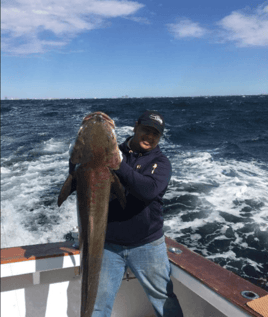 Cobia Fishing in Orange Beach, Alabama