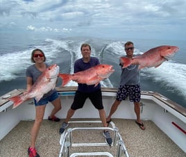 Red Snapper Fishing in Orange Beach, Alabama