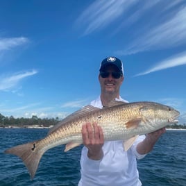 Redfish Fishing in Panama City, Florida