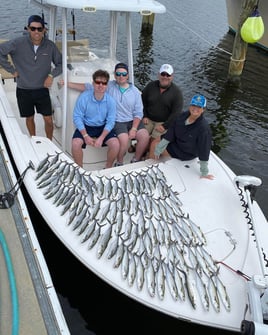 Inshore Trip - 22' Tidewater