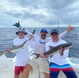 Cobia Fishing in Mount Pleasant, South Carolina