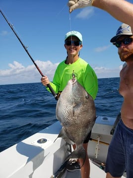 Triggerfish Fishing in Orange Beach, Alabama