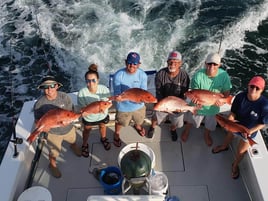 Red Snapper Fishing in Orange Beach, Alabama