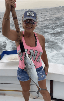 False Albacore Fishing in Orange Beach, Alabama