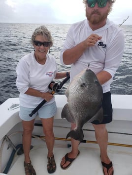 Triggerfish Fishing in Orange Beach, Alabama