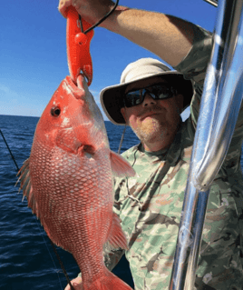 Red Snapper Fishing in Panama City, Florida