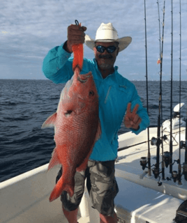 Red Snapper Fishing in Panama City, Florida