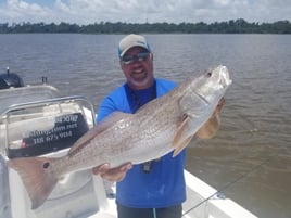 Calcasieu Lake Inshore Frenzy