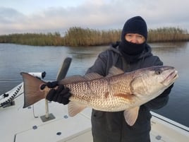 Calcasieu Lake Inshore Frenzy