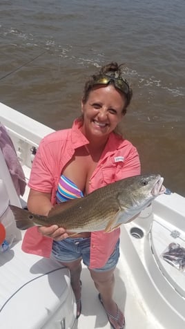 Calcasieu Lake Inshore Frenzy