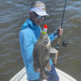 Tripletail Fishing in Eastpoint, Florida