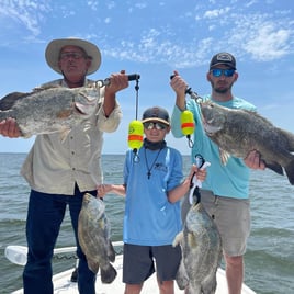 Tripletail Fishing in Eastpoint, Florida