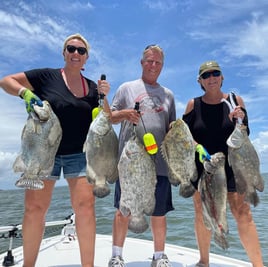 Tripletail Fishing in Eastpoint, Florida