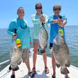 Tripletail Fishing in Eastpoint, Florida