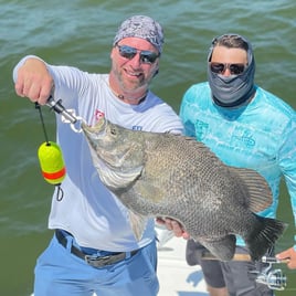 Tripletail Fishing in Eastpoint, Florida