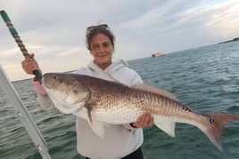 Redfish Fishing in Destin, Florida