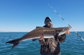 Cobia Fishing in Destin, Florida