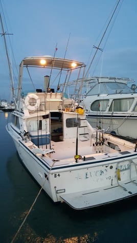 Nearshore Fishing Charter - 26' Bertram