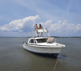 Nearshore Fishing Charter - 26' Bertram