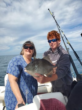 Triggerfish Fishing in Panama City Beach, Florida