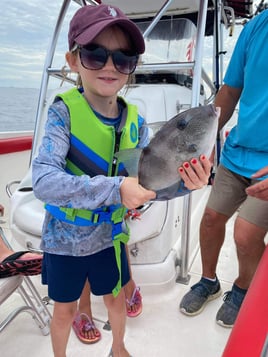 Triggerfish Fishing in Panama City Beach, Florida