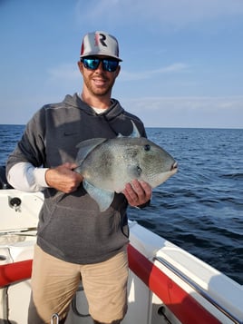 Triggerfish Fishing in Panama City Beach, Florida