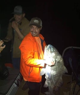 Black Drum Fishing in Aransas Pass, Texas