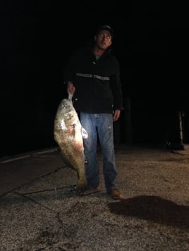 Black Drum Fishing in Aransas Pass, Texas