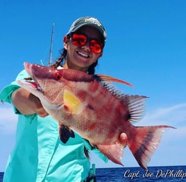 Hogfish Fishing in Marathon, Florida