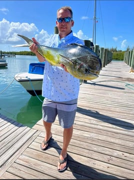 Mahi Mahi Fishing in Spanish Wells, The Bahamas