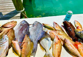 Spanish Wells Reef Fishing